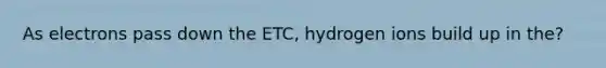 As electrons pass down the ETC, hydrogen ions build up in the?