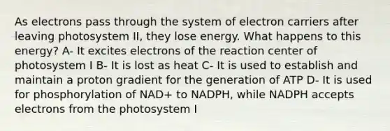 As electrons pass through the system of electron carriers after leaving photosystem II, they lose energy. What happens to this energy? A- It excites electrons of the reaction center of photosystem I B- It is lost as heat C- It is used to establish and maintain a proton gradient for the generation of ATP D- It is used for phosphorylation of NAD+ to NADPH, while NADPH accepts electrons from the photosystem I