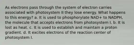 As electrons pass through the system of electron carries associated with photosystem II they lose energy. What happens to this energy? a. It is used to phosphorylate NAD+ to NADPH, the molecule that accepts electrons from photosystem I. b. It is lost as heat. c. It is used to establish and maintain a proton gradient. d. It excites electrons of the reaction center of photosystem I.