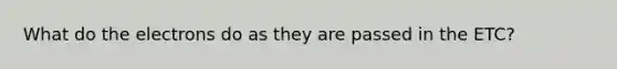 What do the electrons do as they are passed in the ETC?