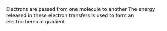 Electrons are passed from one molecule to another The energy released in these electron transfers is used to form an electrochemical gradient