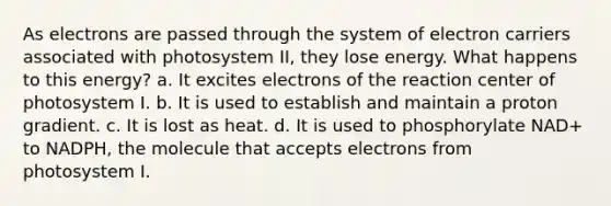 As electrons are passed through the system of electron carriers associated with photosystem II, they lose energy. What happens to this energy? a. It excites electrons of the reaction center of photosystem I. b. It is used to establish and maintain a proton gradient. c. It is lost as heat. d. It is used to phosphorylate NAD+ to NADPH, the molecule that accepts electrons from photosystem I.