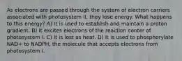 As electrons are passed through the system of electron carriers associated with photosystem II, they lose energy. What happens to this energy? A) It is used to establish and maintain a proton gradient. B) It excites electrons of the reaction center of photosystem I. C) It is lost as heat. D) It is used to phosphorylate NAD+ to NADPH, the molecule that accepts electrons from photosystem I.