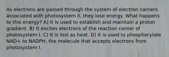 As electrons are passed through the system of electron carriers associated with photosystem II, they lose energy. What happens to this energy? A) It is used to establish and maintain a proton gradient. B) It excites electrons of the reaction center of photosystem I. C) It is lost as heat. D) It is used to phosphorylate NAD+ to NADPH, the molecule that accepts electrons from photosystem I.