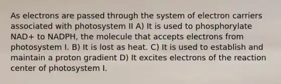 As electrons are passed through the system of electron carriers associated with photosystem II A) It is used to phosphorylate NAD+ to NADPH, the molecule that accepts electrons from photosystem I. B) It is lost as heat. C) It is used to establish and maintain a proton gradient D) It excites electrons of the reaction center of photosystem I.