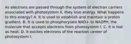 As electrons are passed through the system of electron carriers associated with photosystem II, they lose energy. What happens to this energy? A. It is used to establish and maintain a proton gradient. B. It is used to phosphorylate NAD+ to NADPH, the molecule that accepts electrons from photosystem I. C. It is lost as heat. D. It excites electrons of the reaction center of photosystem I.