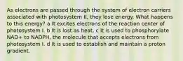 As electrons are passed through the system of electron carriers associated with photosystem II, they lose energy. What happens to this energy? a It excites electrons of the reaction center of photosystem I. b It is lost as heat. c It is used to phosphorylate NAD+ to NADPH, the molecule that accepts electrons from photosystem I. d It is used to establish and maintain a proton gradient.