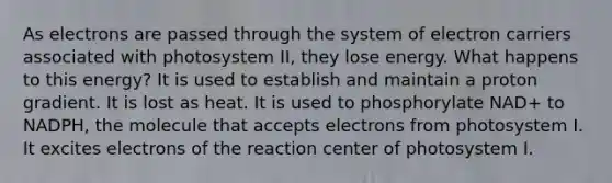 As electrons are passed through the system of electron carriers associated with photosystem II, they lose energy. What happens to this energy? It is used to establish and maintain a proton gradient. It is lost as heat. It is used to phosphorylate NAD+ to NADPH, the molecule that accepts electrons from photosystem I. It excites electrons of the reaction center of photosystem I.