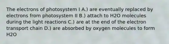 The electrons of photosystem I A.) are eventually replaced by electrons from photosystem II B.) attach to H2O molecules during the light reactions C.) are at the end of the electron transport chain D.) are absorbed by oxygen molecules to form H2O