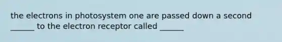 the electrons in photosystem one are passed down a second ______ to the electron receptor called ______