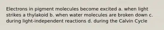 Electrons in pigment molecules become excited a. when light strikes a thylakoid b. when <a href='https://www.questionai.com/knowledge/kTK3J5aMdd-water-molecules' class='anchor-knowledge'>water molecules</a> are broken down c. during light-independent reactions d. during the Calvin Cycle