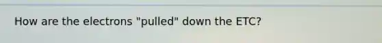 How are the electrons "pulled" down the ETC?