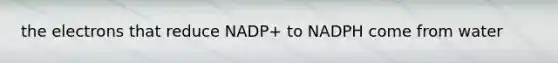 the electrons that reduce NADP+ to NADPH come from water