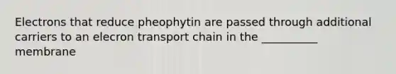 Electrons that reduce pheophytin are passed through additional carriers to an elecron transport chain in the __________ membrane