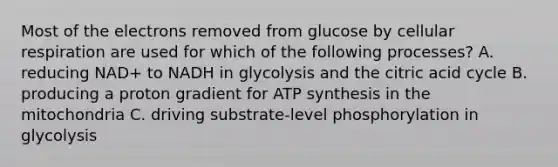 Most of the electrons removed from glucose by cellular respiration are used for which of the following processes? A. reducing NAD+ to NADH in glycolysis and the citric acid cycle B. producing a proton gradient for ATP synthesis in the mitochondria C. driving substrate-level phosphorylation in glycolysis