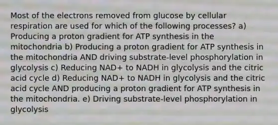 Most of the electrons removed from glucose by cellular respiration are used for which of the following processes? a) Producing a proton gradient for ATP synthesis in the mitochondria b) Producing a proton gradient for ATP synthesis in the mitochondria AND driving substrate-level phosphorylation in glycolysis c) Reducing NAD+ to NADH in glycolysis and the citric acid cycle d) Reducing NAD+ to NADH in glycolysis and the citric acid cycle AND producing a proton gradient for ATP synthesis in the mitochondria. e) Driving substrate-level phosphorylation in glycolysis