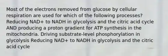 Most of the electrons removed from glucose by cellular respiration are used for which of the following processes? Reducing NAD+ to NADH in glycolysis and the citric acid cycle AND producing a proton gradient for ATP synthesis in the mitochondria. Driving substrate-level phosphorylation in glycolysis Reducing NAD+ to NADH in glycolysis and the citric acid cycle