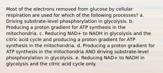 Most of the electrons removed from glucose by cellular respiration are used for which of the following processes? a. Driving substrate-level phosphorylation in glycolysis. b. Producing a proton gradient for ATP synthesis in the mitochondria. c. Reducing NAD+ to NADH in glycolysis and the citric acid cycle and producing a proton gradient for ATP synthesis in the mitochondria. d. Producing a proton gradient for ATP synthesis in the mitochondria AND driving substrate-level phosphorylation in glycolysis. e. Reducing NAD+ to NADH in glycolysis and the citric acid cycle only.