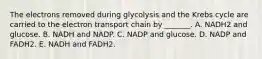 The electrons removed during glycolysis and the Krebs cycle are carried to the electron transport chain by _______. A. NADH2 and glucose. B. NADH and NADP. C. NADP and glucose. D. NADP and FADH2. E. NADH and FADH2.