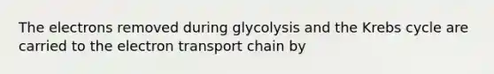 The electrons removed during glycolysis and the Krebs cycle are carried to the electron transport chain by