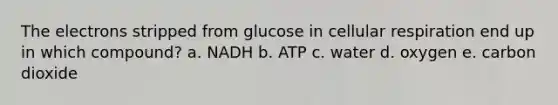 The electrons stripped from glucose in <a href='https://www.questionai.com/knowledge/k1IqNYBAJw-cellular-respiration' class='anchor-knowledge'>cellular respiration</a> end up in which compound? a. NADH b. ATP c. water d. oxygen e. carbon dioxide