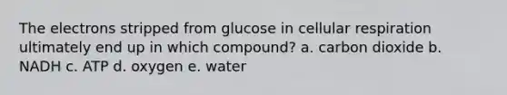 The electrons stripped from glucose in cellular respiration ultimately end up in which compound? a. carbon dioxide b. NADH c. ATP d. oxygen e. water