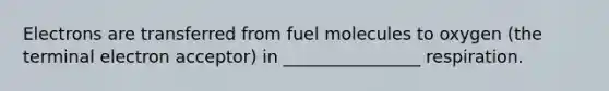 Electrons are transferred from fuel molecules to oxygen (the terminal electron acceptor) in ________________ respiration.