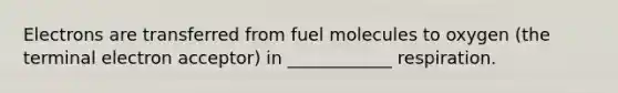 Electrons are transferred from fuel molecules to oxygen (the terminal electron acceptor) in ____________ respiration.