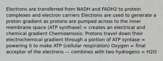 Electrons are transferred from NADH and FADH2 to protein complexes and electron carriers Electrons are used to generate a proton gradient as protons are pumped across to the inner membrane space (ATP synthase) = creates an electrical and chemical gradient Chemiosmosis: Protons travel down their electrochemical gradient through a portion of ATP syntase = powering it to make ATP (cellular respiration) Oxygen = final acceptor of the electrons — combines with two hydrogens = H2O