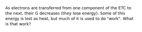 As electrons are transferred from one component of the ETC to the next, their G decreases (they lose energy). Some of this energy is lost as heat, but much of it is used to do "work". What is that work?