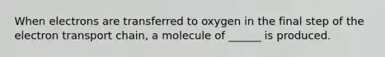 When electrons are transferred to oxygen in the final step of the electron transport chain, a molecule of ______ is produced.