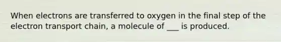 When electrons are transferred to oxygen in the final step of <a href='https://www.questionai.com/knowledge/k57oGBr0HP-the-electron-transport-chain' class='anchor-knowledge'>the electron transport chain</a>, a molecule of ___ is produced.