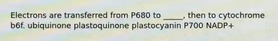 Electrons are transferred from P680 to _____, then to cytochrome b6f. ubiquinone plastoquinone plastocyanin P700 NADP+