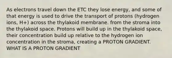 As electrons travel down the ETC they lose energy, and some of that energy is used to drive the transport of protons (hydrogen ions, H+) across the thylakoid membrane. from the stroma into the thylakoid space. Protons will build up in the thylakoid space, their concentration build up relative to the hydrogen ion concentration in the stroma, creating a PROTON GRADIENT. WHAT IS A PROTON GRADIENT