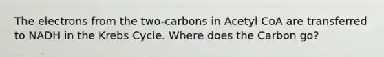 The electrons from the two-carbons in Acetyl CoA are transferred to NADH in the Krebs Cycle. Where does the Carbon go?