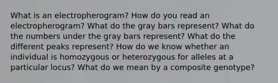 What is an electropherogram? How do you read an electropherogram? What do the gray bars represent? What do the numbers under the gray bars represent? What do the different peaks represent? How do we know whether an individual is homozygous or heterozygous for alleles at a particular locus? What do we mean by a composite genotype?