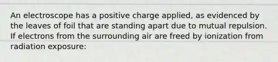 An electroscope has a positive charge applied, as evidenced by the leaves of foil that are standing apart due to mutual repulsion. If electrons from the surrounding air are freed by ionization from radiation exposure: