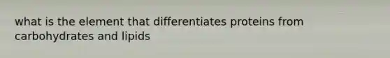 what is the element that differentiates proteins from carbohydrates and lipids