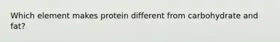 Which element makes protein different from carbohydrate and fat?