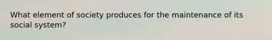 What element of society produces for the maintenance of its social system?