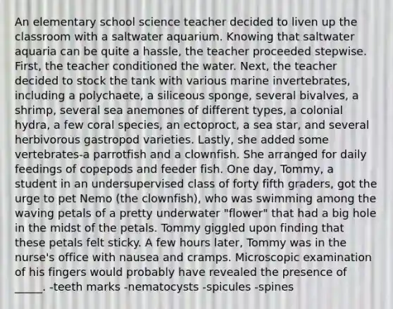 An elementary school science teacher decided to liven up the classroom with a saltwater aquarium. Knowing that saltwater aquaria can be quite a hassle, the teacher proceeded stepwise. First, the teacher conditioned the water. Next, the teacher decided to stock the tank with various marine invertebrates, including a polychaete, a siliceous sponge, several bivalves, a shrimp, several sea anemones of different types, a colonial hydra, a few coral species, an ectoproct, a sea star, and several herbivorous gastropod varieties. Lastly, she added some vertebrates-a parrotfish and a clownfish. She arranged for daily feedings of copepods and feeder fish. One day, Tommy, a student in an undersupervised class of forty fifth graders, got the urge to pet Nemo (the clownfish), who was swimming among the waving petals of a pretty underwater "flower" that had a big hole in the midst of the petals. Tommy giggled upon finding that these petals felt sticky. A few hours later, Tommy was in the nurse's office with nausea and cramps. Microscopic examination of his fingers would probably have revealed the presence of _____. -teeth marks -nematocysts -spicules -spines