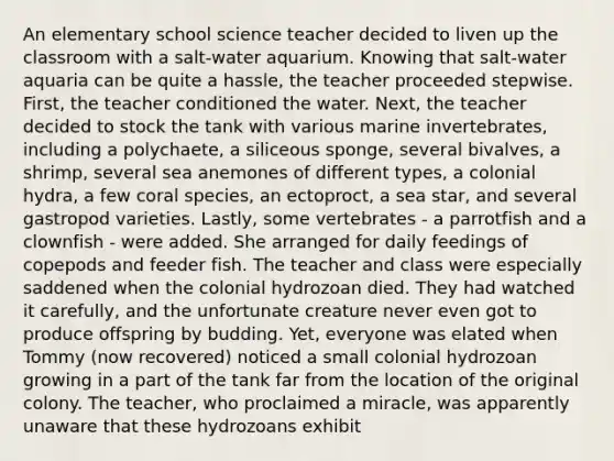 An elementary school science teacher decided to liven up the classroom with a salt-water aquarium. Knowing that salt-water aquaria can be quite a hassle, the teacher proceeded stepwise. First, the teacher conditioned the water. Next, the teacher decided to stock the tank with various marine invertebrates, including a polychaete, a siliceous sponge, several bivalves, a shrimp, several sea anemones of different types, a colonial hydra, a few coral species, an ectoproct, a sea star, and several gastropod varieties. Lastly, some vertebrates - a parrotfish and a clownfish - were added. She arranged for daily feedings of copepods and feeder fish. The teacher and class were especially saddened when the colonial hydrozoan died. They had watched it carefully, and the unfortunate creature never even got to produce offspring by budding. Yet, everyone was elated when Tommy (now recovered) noticed a small colonial hydrozoan growing in a part of the tank far from the location of the original colony. The teacher, who proclaimed a miracle, was apparently unaware that these hydrozoans exhibit