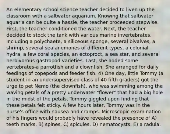 An elementary school science teacher decided to liven up the classroom with a saltwater aquarium. Knowing that saltwater aquaria can be quite a hassle, the teacher proceeded stepwise. First, the teacher conditioned the water. Next, the teacher decided to stock the tank with various marine invertebrates, including a polychaete, a siliceous sponge, several bivalves, a shrimp, several sea anemones of different types, a colonial hydra, a few coral species, an ectoproct, a sea star, and several herbivorous gastropod varieties. Last, she added some vertebrates-a parrotfish and a clownfish. She arranged for daily feedings of copepods and feeder fish. 4) One day, little Tommy (a student in an undersupervised class of 40 fifth graders) got the urge to pet Nemo (the clownfish), who was swimming among the waving petals of a pretty underwater "flower" that had a big hole in the midst of the petals. Tommy giggled upon finding that these petals felt sticky. A few hours later, Tommy was in the nurse's office with nausea and cramps. Microscopic examination of his fingers would probably have revealed the presence of A) teeth marks. B) spines. C) spicules. D) nematocysts. E) a radula.