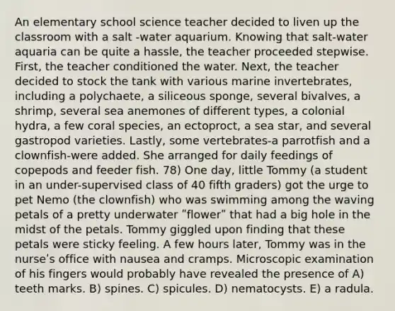 An elementary school science teacher decided to liven up the classroom with a salt -water aquarium. Knowing that salt-water aquaria can be quite a hassle, the teacher proceeded stepwise. First, the teacher conditioned the water. Next, the teacher decided to stock the tank with various marine invertebrates, including a polychaete, a siliceous sponge, several bivalves, a shrimp, several sea anemones of different types, a colonial hydra, a few coral species, an ectoproct, a sea star, and several gastropod varieties. Lastly, some vertebrates-a parrotfish and a clownfish-were added. She arranged for daily feedings of copepods and feeder fish. 78) One day, little Tommy (a student in an under-supervised class of 40 fifth graders) got the urge to pet Nemo (the clownfish) who was swimming among the waving petals of a pretty underwater ʺflowerʺ that had a big hole in the midst of the petals. Tommy giggled upon finding that these petals were sticky feeling. A few hours later, Tommy was in the nurseʹs office with nausea and cramps. Microscopic examination of his fingers would probably have revealed the presence of A) teeth marks. B) spines. C) spicules. D) nematocysts. E) a radula.