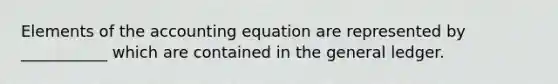 Elements of the accounting equation are represented by ___________ which are contained in the general ledger.