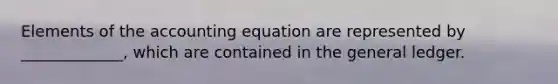 Elements of the accounting equation are represented by _____________, which are contained in the general ledger.