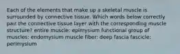 Each of the elements that make up a skeletal muscle is surrounded by connective tissue. Which words below correctly pair the connective tissue layer with the corresponding muscle structure? entire muscle: epimysium functional group of muscles: endomysium muscle fiber: deep fascia fascicle: perimysium