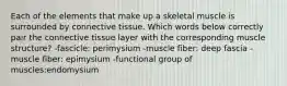 Each of the elements that make up a skeletal muscle is surrounded by connective tissue. Which words below correctly pair the connective tissue layer with the corresponding muscle structure? -fascicle: perimysium -muscle fiber: deep fascia -muscle fiber: epimysium -functional group of muscles:endomysium