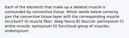 Each of the elements that make up a skeletal muscle is surrounded by connective tissue. Which words below correctly pair the connective tissue layer with the corresponding muscle structure? A) muscle fiber: deep fascia B) fascicle: perimysium C) entire muscle: epimysium D) functional group of muscles: endomysium