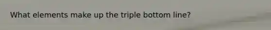 What elements make up the triple bottom line?